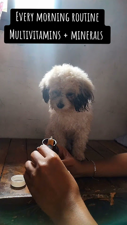 https://vt.tiktok.com/ZSUhgcLUF/