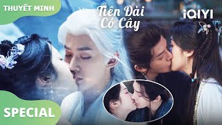 【Cảnh Hôn】❤️‍🔥Những Cảnh Hôn Của Tô Dịch Thủy Và Tiết Nhiễm Nhiễm | Tiên Đài Có Cây | iQIYI Vietnam