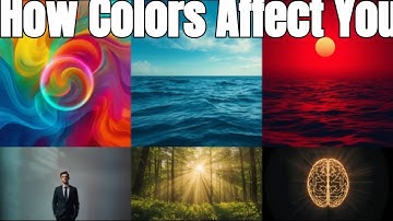 How Colors Affect Your Mood and Behavior