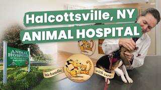 Animal Hospital Halcottsville NY
