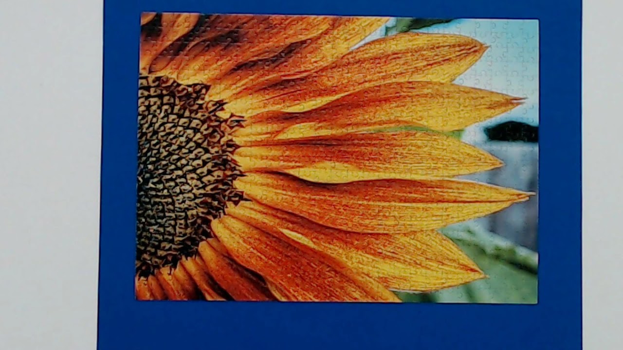 The Sunflower Jigsaw Puzzle Time Lapse by Addicted 2 Puzzles - YouTube