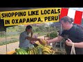 Oxapampa peru   huge saturday farmers market