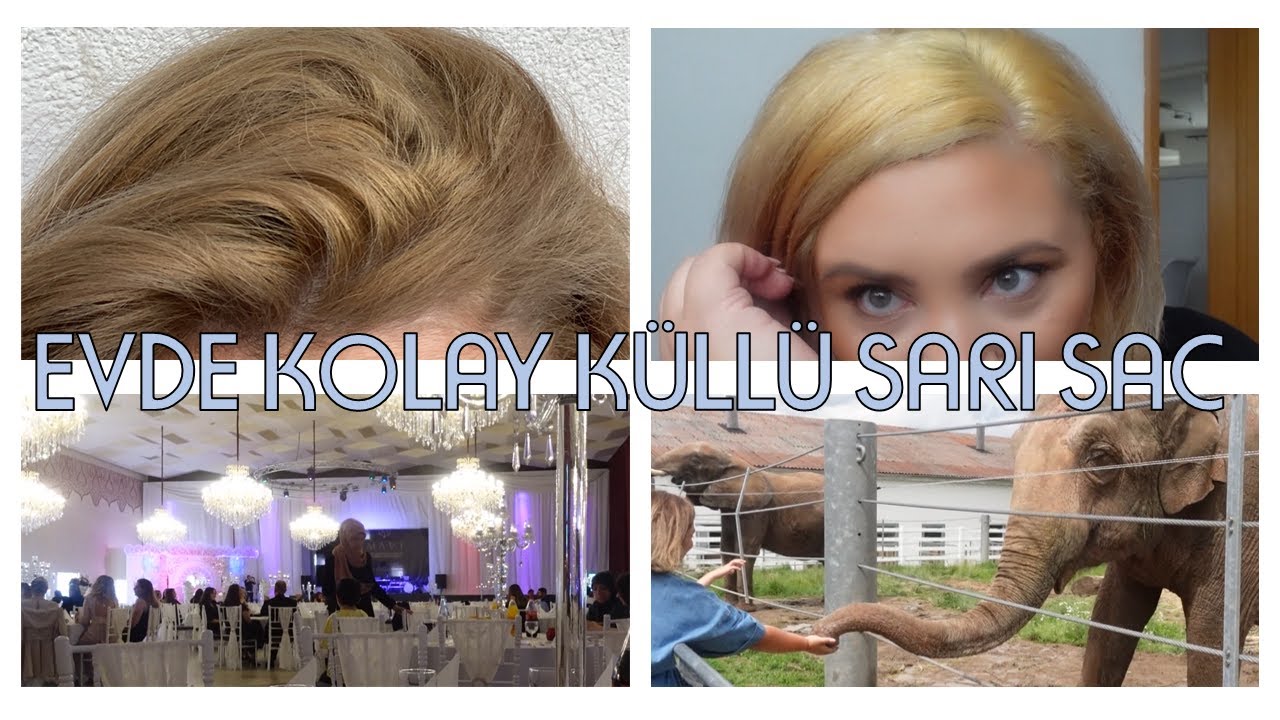 SACIM YANDIMI? KÜLLÜ SARI SAC ICIN CILA TARIFI | FIL´E ELIMLE YEMEK YEDIRDIM | BILDIGINIZ KAZIK