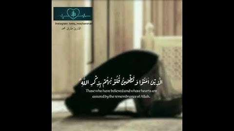 القارئ طارق محمد  / مقاطع قصيرة قرآن كريم/ حالات واتساب دينية
