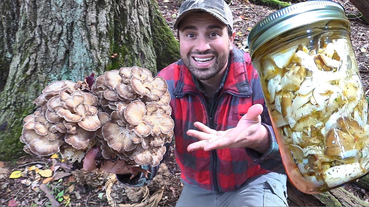 Pickling Wild Mushrooms Hens of the Woods (Maitake) YouTube