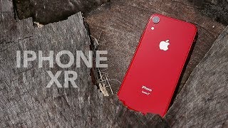 Apple iPhone XR Review
