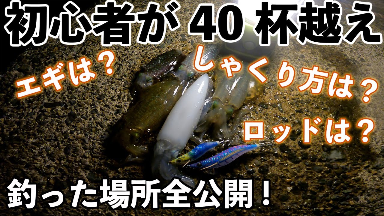 秋エギング爆釣中 アオリイカを釣りまくる初心者のシャクリ方 エギングロッド おすすめのエギとは Youtube 秋エギング爆釣中 アオリイカを釣りまくる初心者のシャクリ方 エギングロッド おすすめのエギとは Youtube