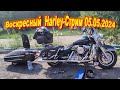 Воскресный Harley-Стрим 05.05.2024! Самые частые поломки и несиправности Harley-Davidson!