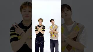 🐶🦊 do this and that #StrayKids #스트레이키즈 #승민 #Seungmin #아이엔 #I_N #THIS_AND_THAT