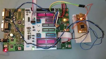 AVR AT-Tiny13 talking to NXP LPC11U24