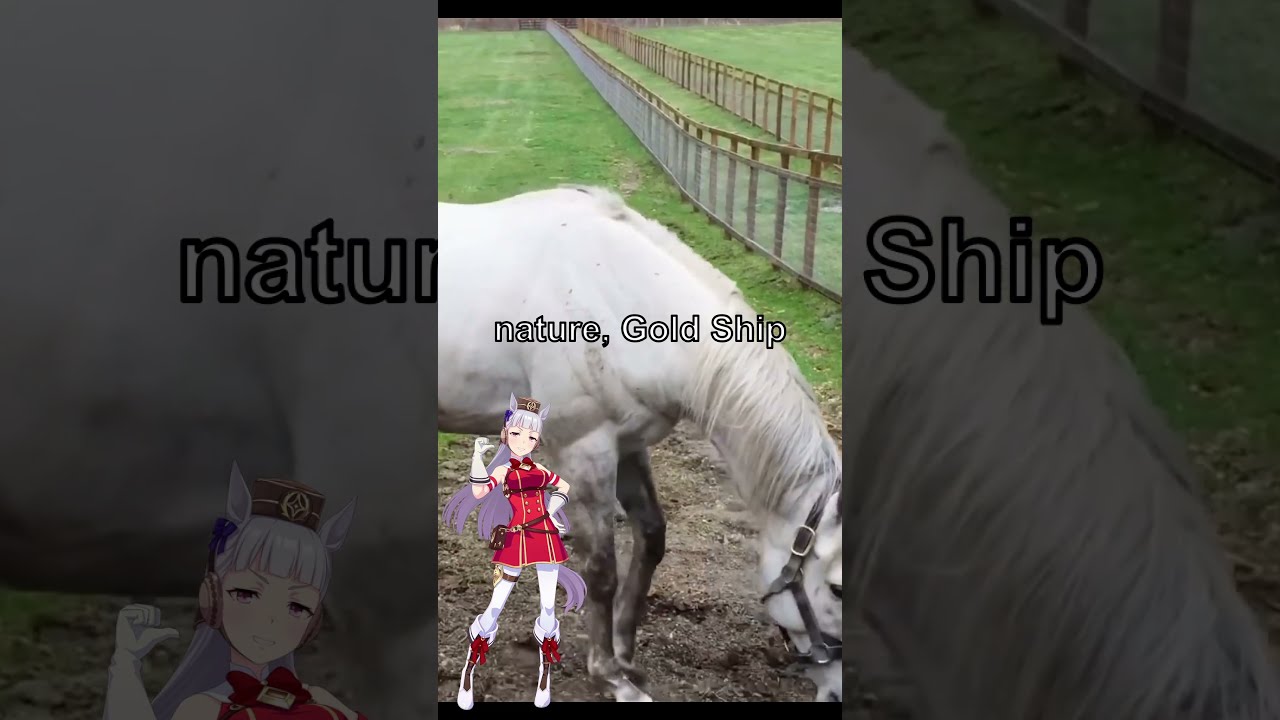 Gold Ship The Harem Protagonist Umamusume Goldship