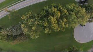 Powerloop Crash at the Windmill Field - Blade Vortex Pro 250