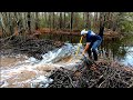 Beaver Dam Removal By Hand At The Ponds!! Part 2 of 2! || Heavy Flowing Water!!