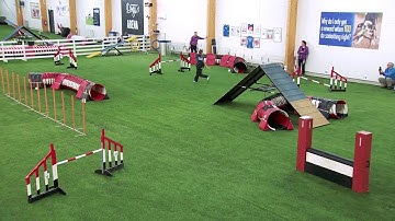 International Agility Training Week - Practicing the Lap Turn - preview