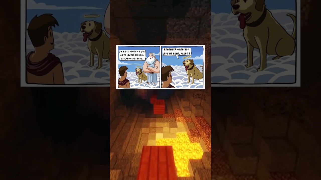 Wholesome Memes That Makes You Cry