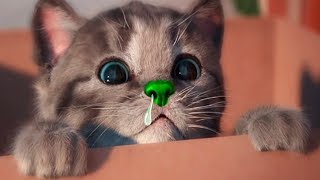 Little Kitten My Favorite Cat Pet Care - Play Cute Kitten Video Games For Children