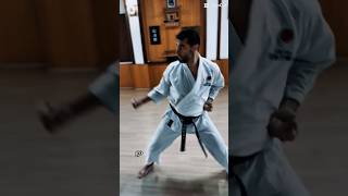 Shitei Dojo Karatê JKA - treinar todos os dias