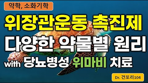 위장관운동촉진제 약물별 작용기전 with 당뇨병성 위마비 치료 원리