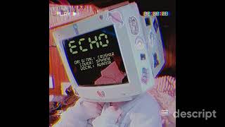 ECHO feat. tim0thee(avanna) [VOCALOID COVER]