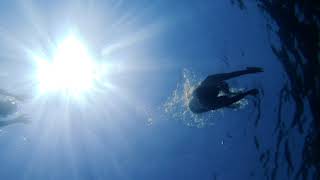 Sardinia Dream - Willdom Italy