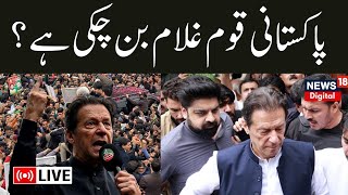 Pakistan LIVE: Imran Khan Arrested Again After Released | Pakistan News Today | Breaking News