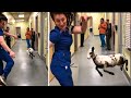 Veterinarian Does Hilarious Dance Off With Cutest Little Lamb