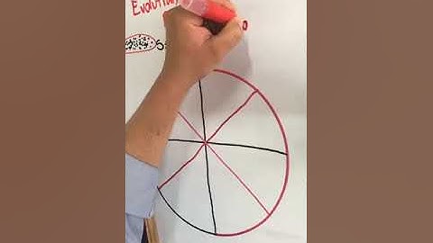 Lecture 8: Evolution, Involution, Revolution.