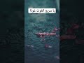 يا سريع الغوث غوثا انشودة إنشاد السعودية مصر Viral Video Islam 