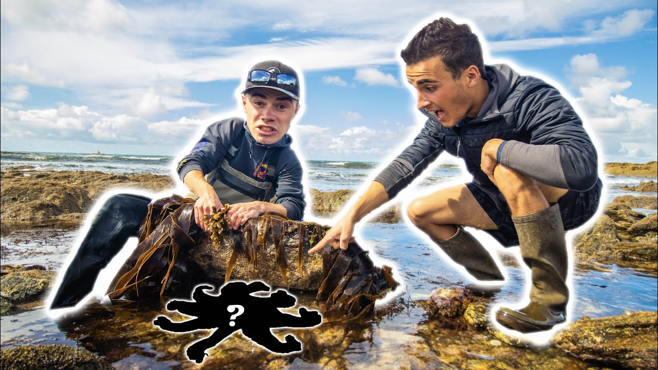 Je Pêche d'Étranges Créatures sous les Pierres avec 