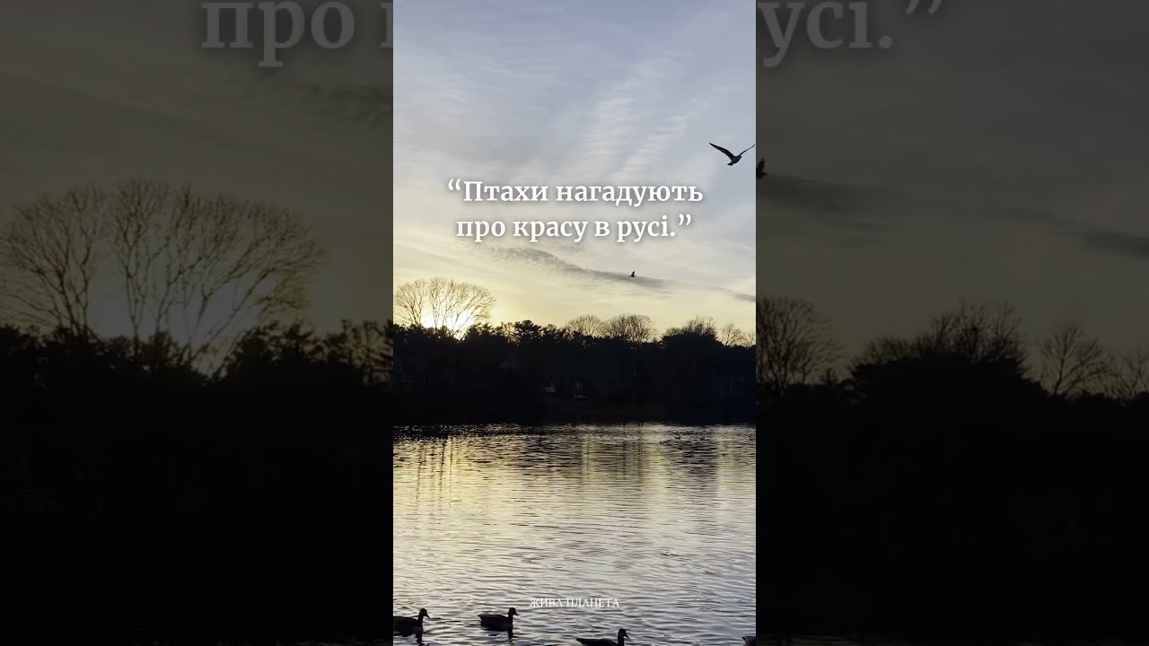 #InspirationFromNature