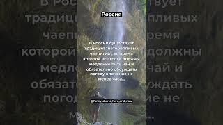 Россия - правила,законы и традиции #shorts