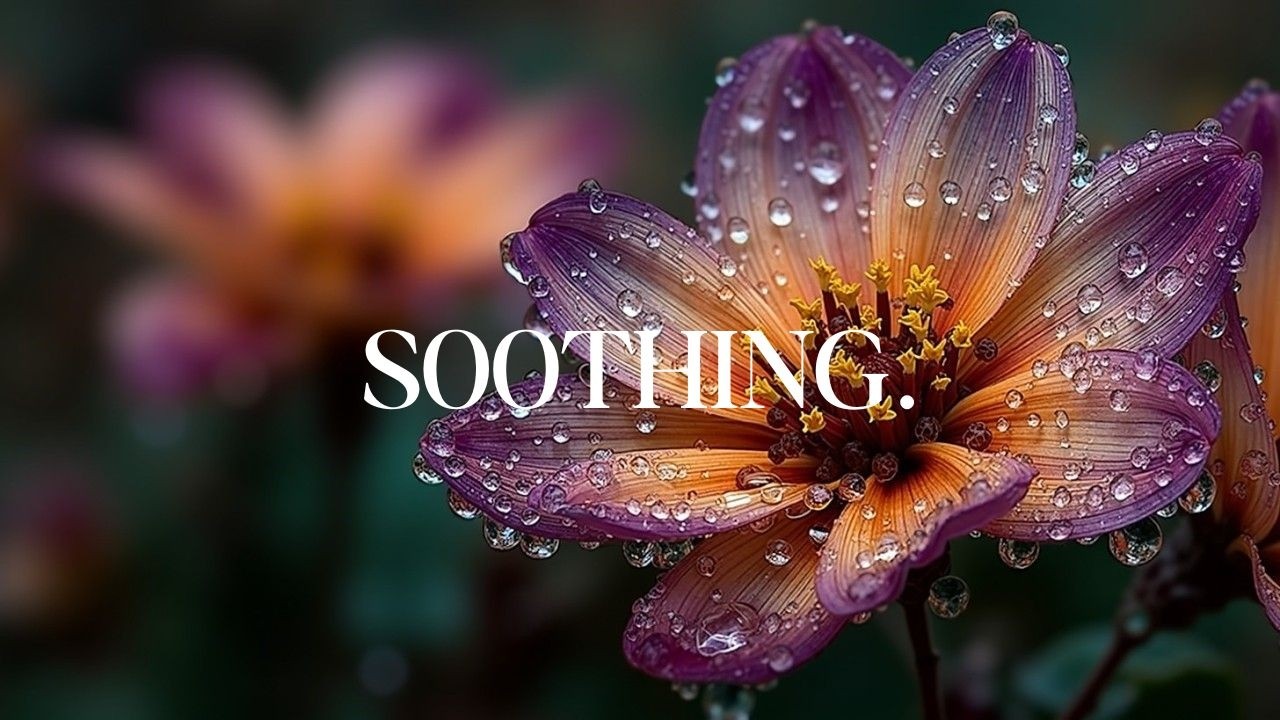 Мягкая гитара и пианино - Романтическая музыка для сна