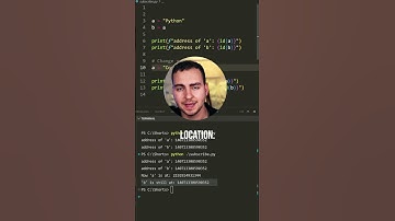 How Variables are stored in Python