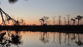 Phu Kradueng National Park] อุทยานแห่งชาติภูกระดึง Ep. 3