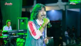 CAMELIA - PASRAH - MR. LUKITO - HAPPY PARTY & NEW YEAR 2025 BOLO KOCAH #8 - TAHUNAN JEPARA