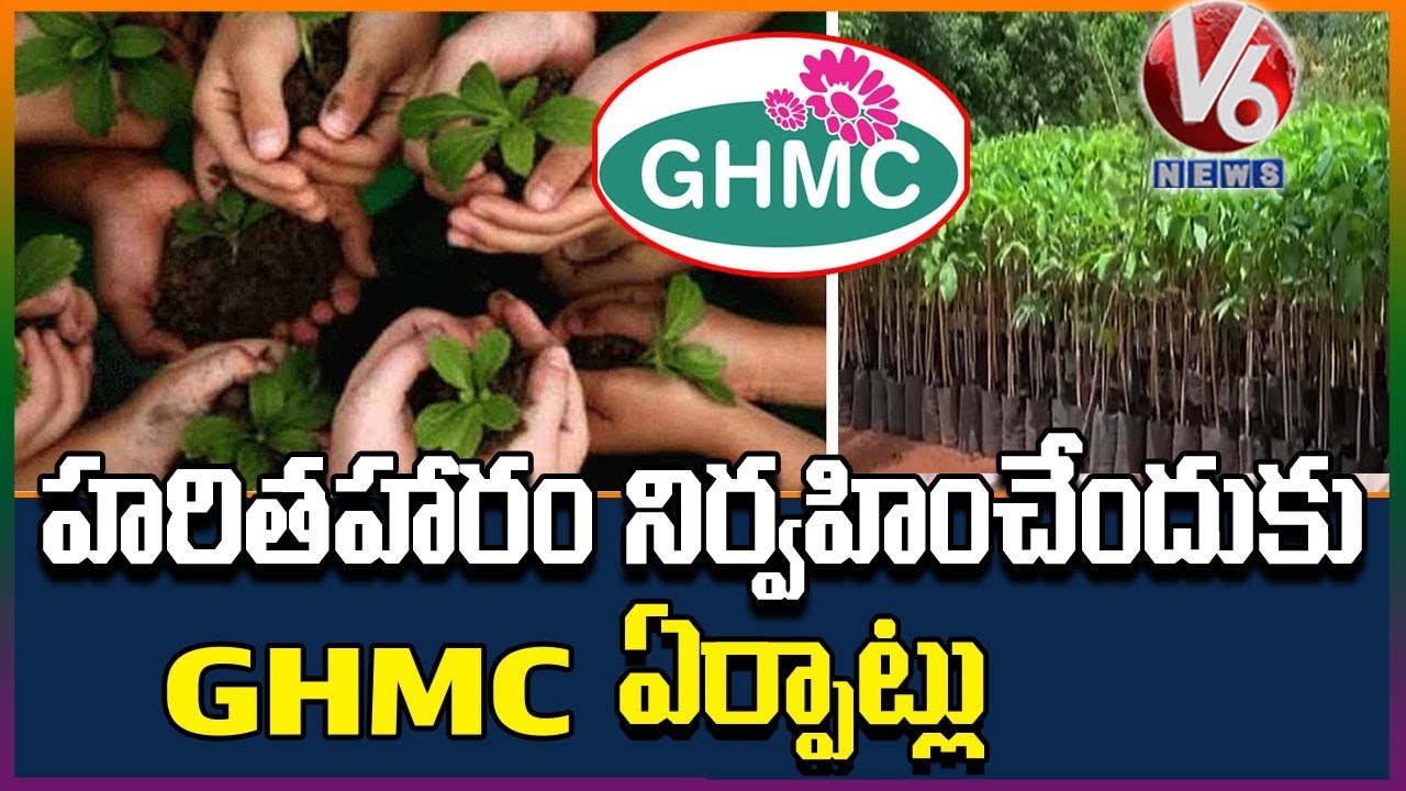 GHMC to plant 50 lakh saplings under Haritha Haram | V6 News