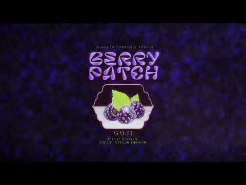 Machinedrum & Holly - Goji (Thys Remix feat. Niels Broos)