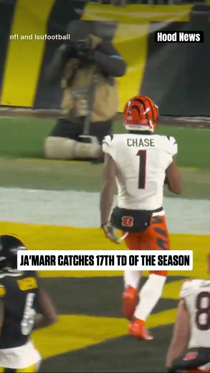 17th TD of the Season #hoodnews #jamarrchase #bengals #joeburrow #steelers #NFL #omg #shortvideo #us
