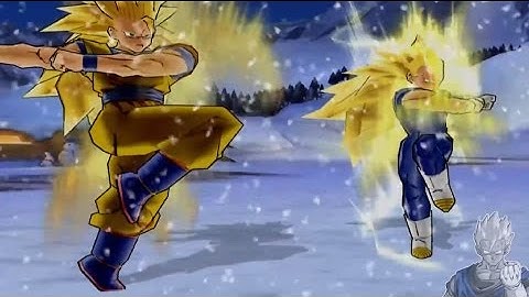 Vegeto SSJ3 / Gogeta SSJ3