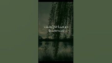 📖 “ورتل القرآن ترتيلا”لحظات من الخشوع مع تلاوة تهزّ القلب وتريح البال 🤍🌟#قرآن #تلاوة_خاشعة