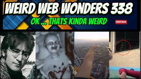 weird web wonders 338
