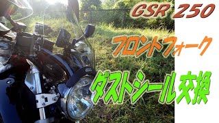 GSR250 フロントフォーク・ダストシール交換