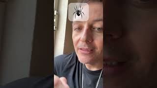 🕷️ La Lone Star Tick ya no es solo una garrapata más…#health #2026 #world