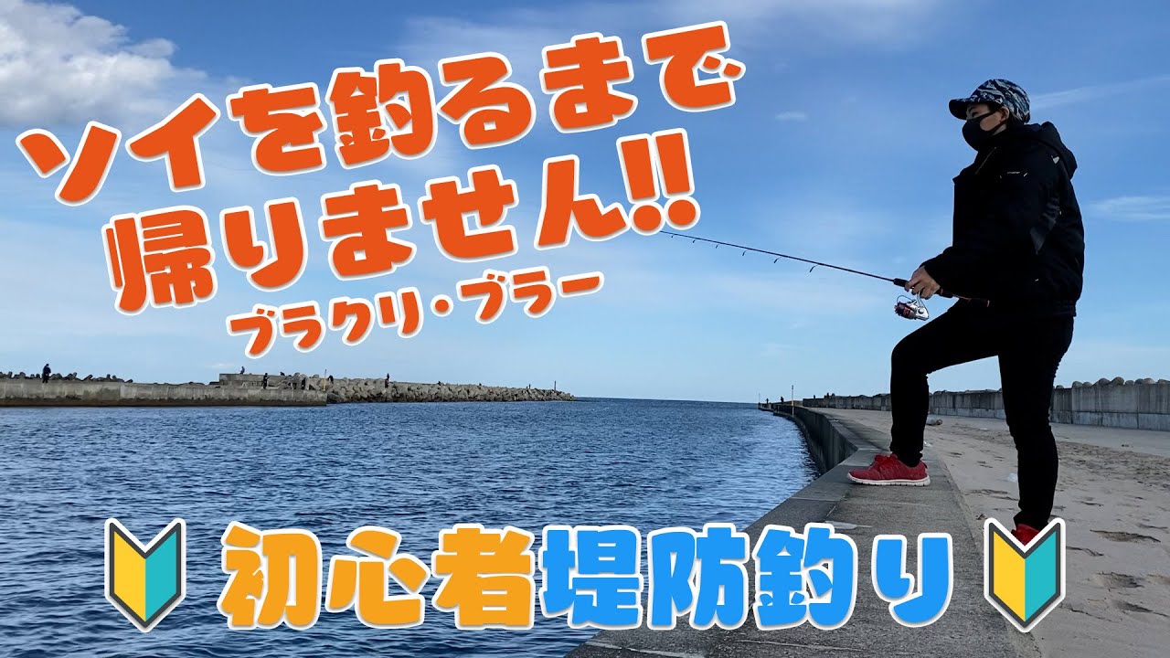 釣り初心者 ソイを釣るまで帰りません ブラクリ ブラー Youtube