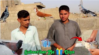 subscriber Ne Gift Diya 👍 by Rehan Äzam Birds 797 views 1 day ago 9 minutes, 38 seconds