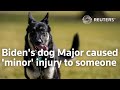 Major... minor... Biden's dog bites again.