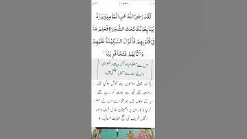 سورة فتح آية 18