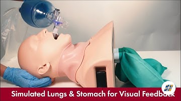 Simulab Corporation | AirwayMan System