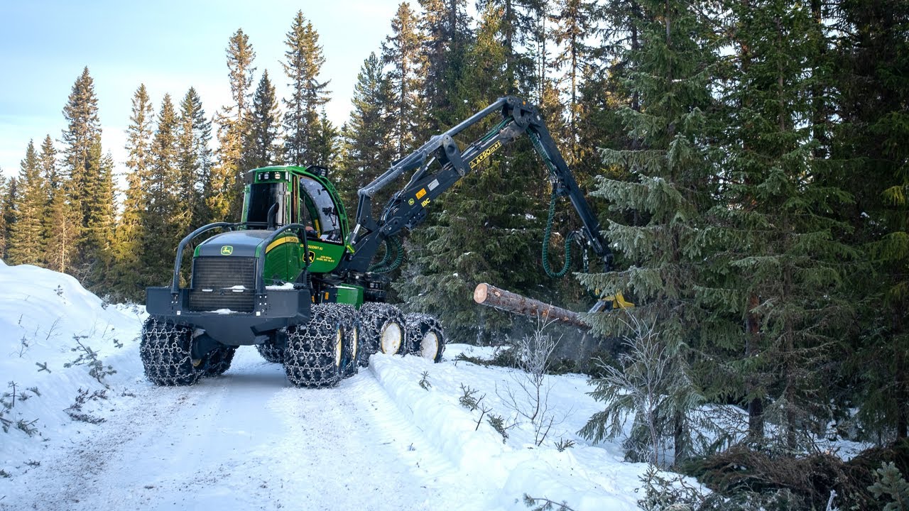 Lukka hogst i Åmot i Innlandet