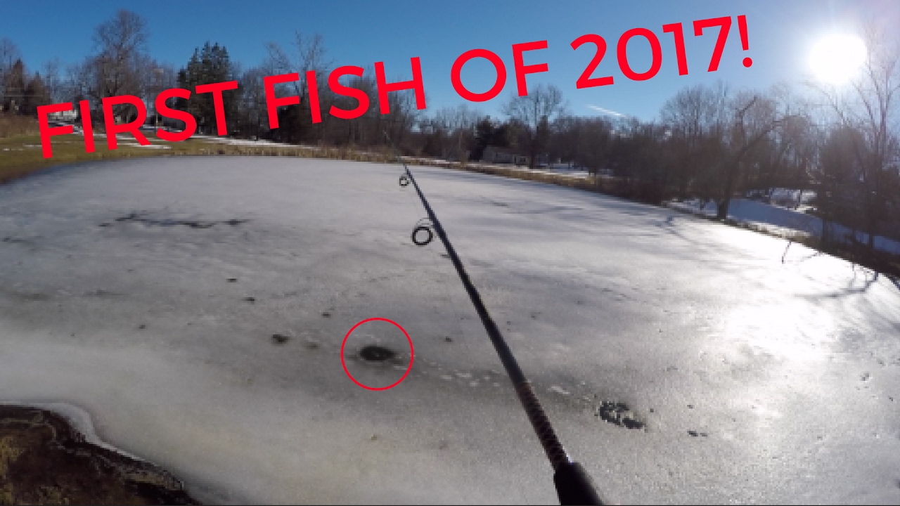 FISHING FROZEN POND YouTube
